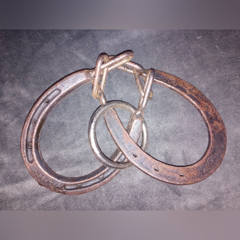 Vintage Diamond Horseshoe Puzzle